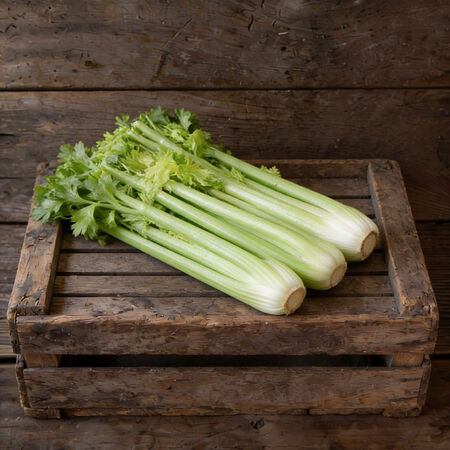 Tall Utah 52-70, Celery Seeds - Packet image number null